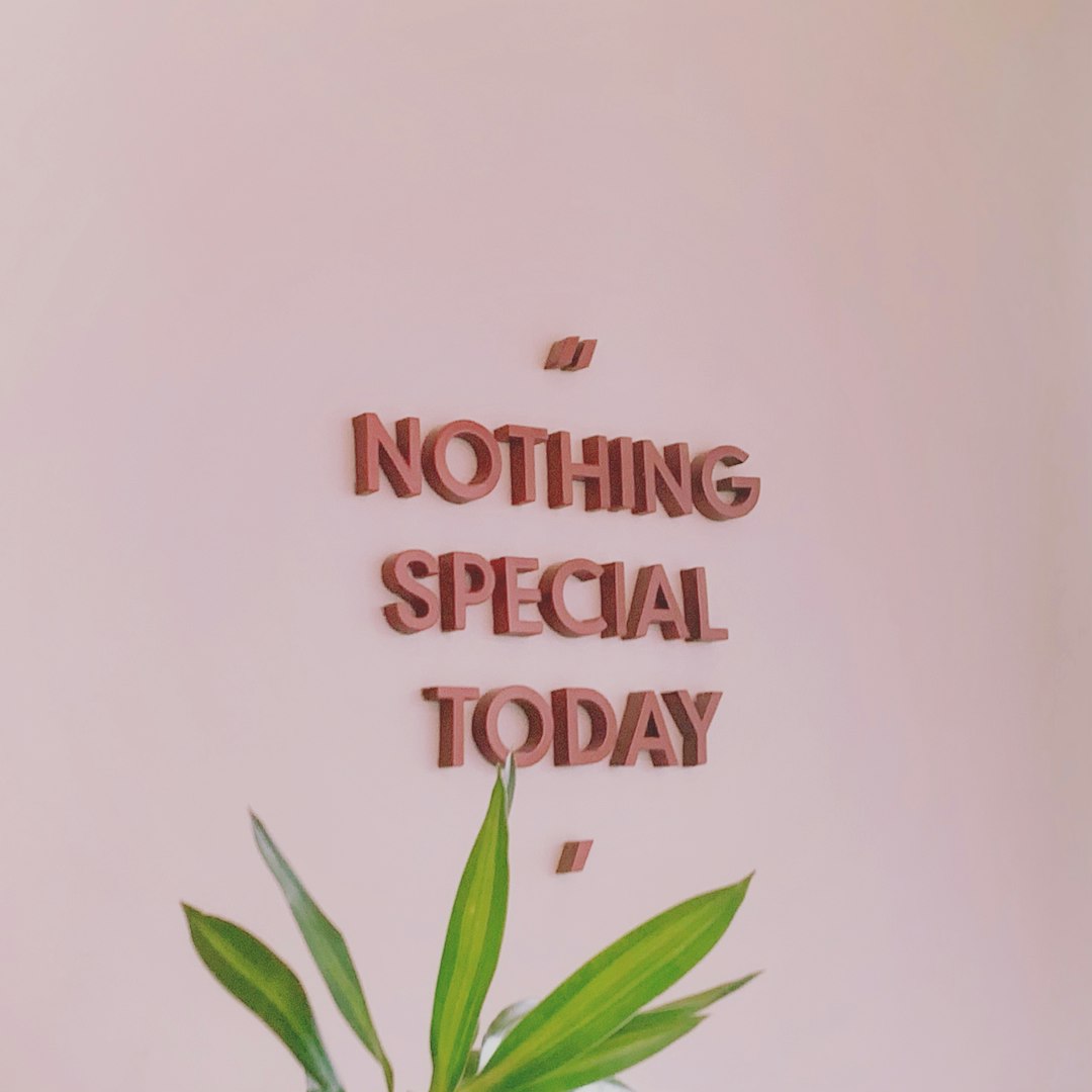 Special Offer